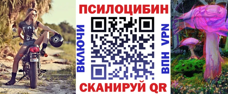 blacksprut ссылки  Казань  Псилоцибиновые грибы мицелий 